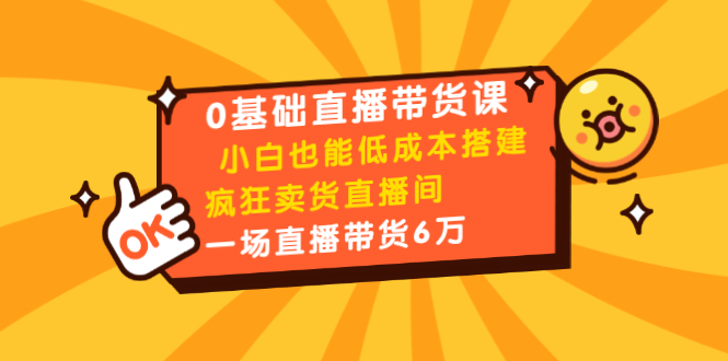 0基础直播带货课：小白也能低成本搭建疯狂卖货直播间：1场直播带货6万 - 阿伟资源库-阿伟资源库