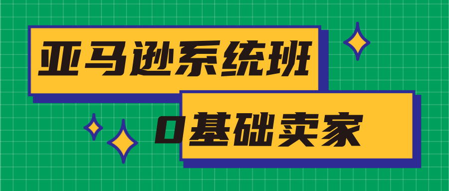 亚马逊系统班，专为0基础卖家量身打造，亚马逊运营流程与架构 - 阿伟资源库-阿伟资源库