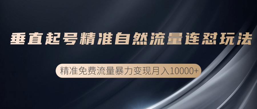 垂直起号精准自然流量连爆玩法，精准引流暴力变现月入10000+ - 阿伟资源库-阿伟资源库