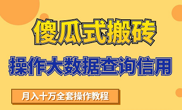 搬砖操作大数据查询信用项目赚钱教程，祝你快速月入6万 - 阿伟资源库-阿伟资源库