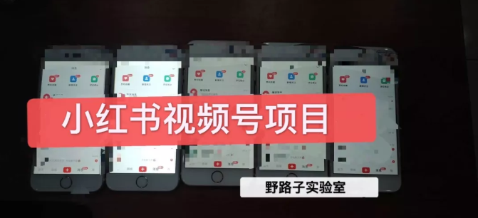 野路子小红书视频号1.0项目，直接上手操作就能赚钱的视频号项目 - 阿伟资源库-阿伟资源库