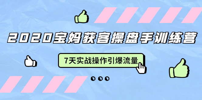 2020宝妈获客操盘手训练营：7天实战操作引爆 母婴、都市、购物宝妈流量 - 阿伟资源库-阿伟资源库