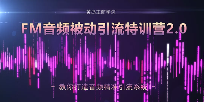 黄岛主·FM音频引流特训营2.0：独家引流模式，单账号50W+播放量，轻松变现 - 阿伟资源库-阿伟资源库