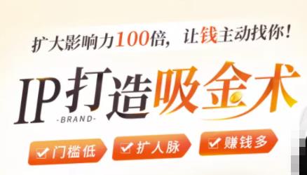 IP打造吸金术：0基础0资源，也能扩大影响力100倍，让钱主动找你！ - 阿伟资源库-阿伟资源库