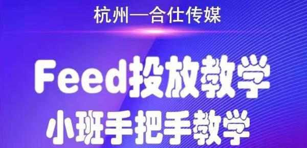 合仕传媒Feed投放教学，手把手教学，开车烧钱必须自己会 - 阿伟资源库-阿伟资源库