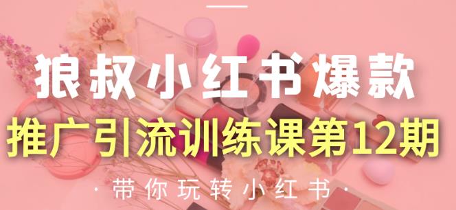 狼叔小红书爆款推广引流训练课第12期，手把手带你玩转小红书 - 阿伟资源库-阿伟资源库