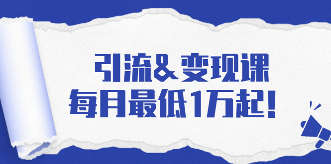 引流&变现课：分享一整套流量方法以及各个渠道收入，每月最低1万起！ - 阿伟资源库-阿伟资源库