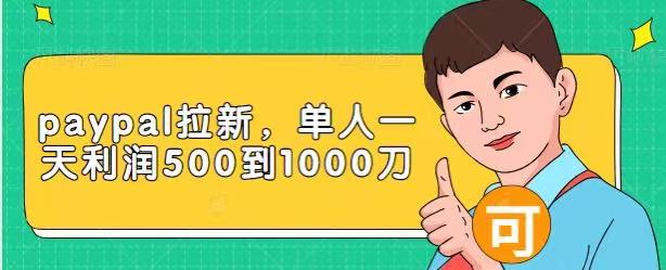Paypal拉新赚美刀项目，单人一天利润500-1000刀【视频课程】 - 阿伟资源库-阿伟资源库