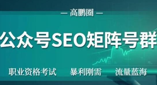 高鹏圈公众号SEO矩阵号群，实操20天纯收益25000+，普通人都能做 - 阿伟资源库-阿伟资源库