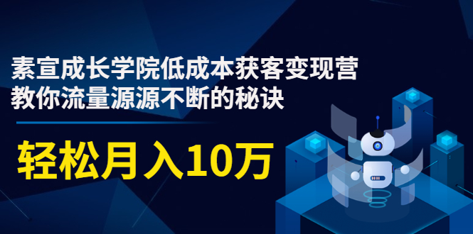 素宣成长学院低成本获客变现营，教你流量源源不断的秘诀，轻松月入10万 - 阿伟资源库-阿伟资源库