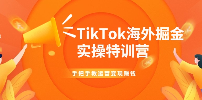 TikTok海外掘金实操特训营：手把手教运营变现赚钱 - 阿伟资源库-阿伟资源库