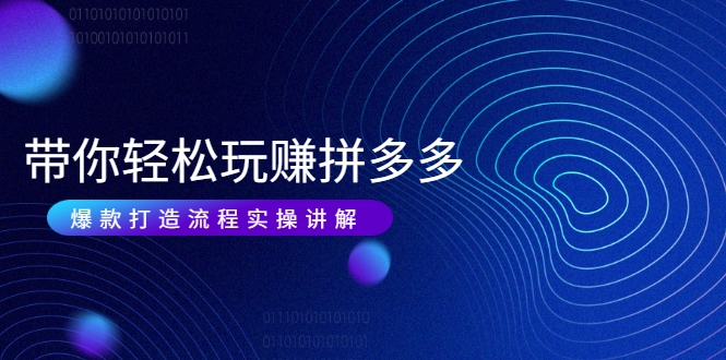 带你轻松玩赚拼多多：花的少 赚的多 爆款更简单 爆款打造流程实操讲解 - 阿伟资源库-阿伟资源库