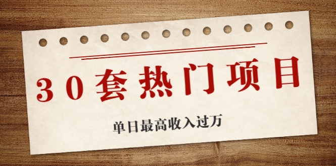 30套热门项目：单日最高收入过万 (网赚项目、朋友圈、涨粉套路、抖音、快手)等 - 阿伟资源库-阿伟资源库