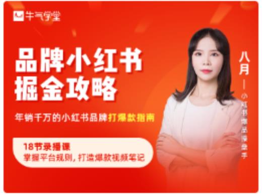 品牌小红书掘金攻略，年销千万的小红书品牌打爆款指南 - 阿伟资源库-阿伟资源库