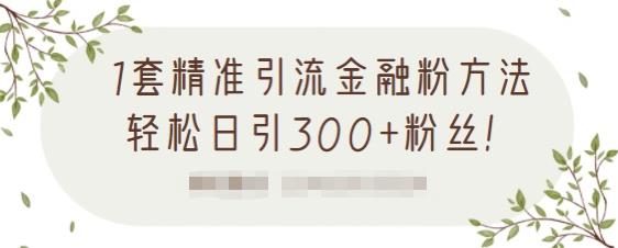 1套精准引流金融粉方法，轻松日引300+粉丝 - 阿伟资源库-阿伟资源库