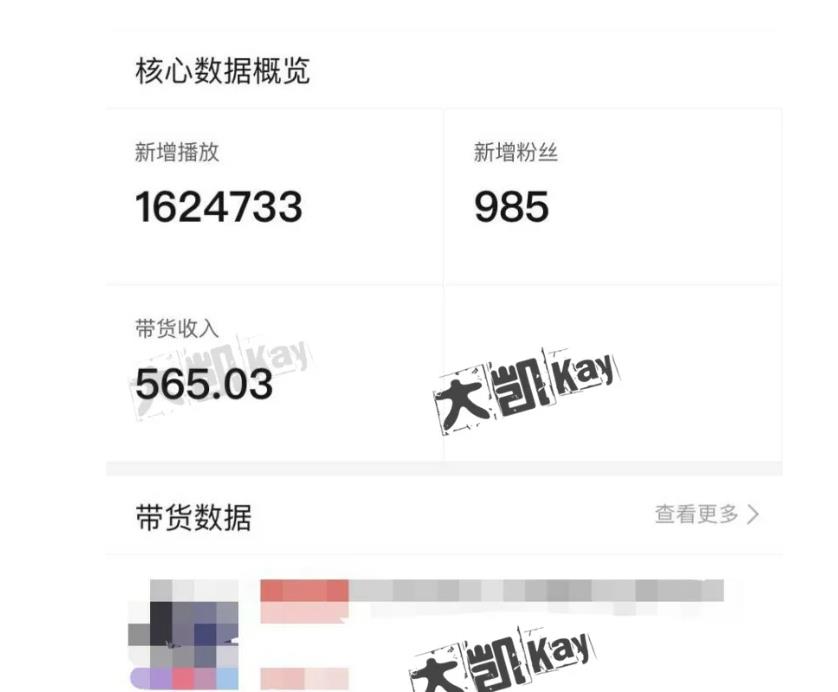 大凯进阶圈新玩法之拼多多视频玩法，利润大概一个号一天能有500~1500的左右! - 阿伟资源库-阿伟资源库