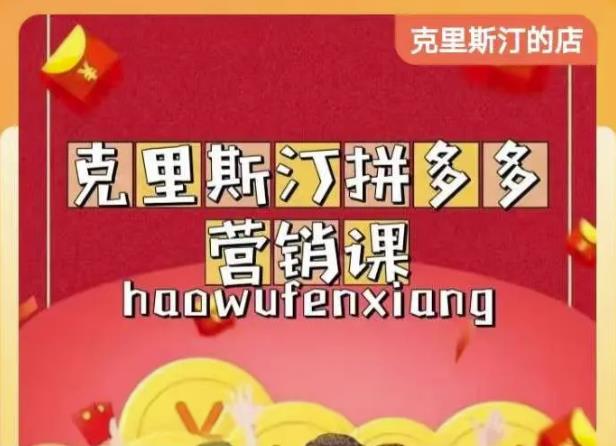 克里斯汀拼多多运营课，适合小白初涉平台，低成本入门 - 阿伟资源库-阿伟资源库