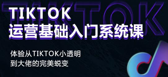 Tiktok实操进阶课程，体验从tiktok小透明到大佬的完美蜕变 - 阿伟资源库-阿伟资源库