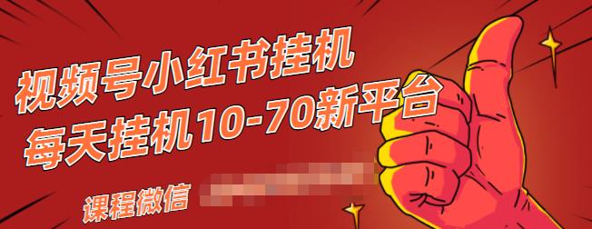 视频号小红书抖音挂机项目，小白无脑操作，按照要求来，单号每天几十米 - 阿伟资源库-阿伟资源库