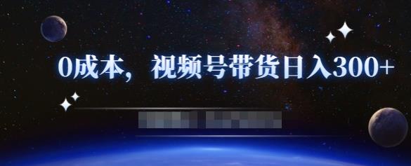 零基础视频号带货赚钱项目，0成本0门槛轻松日入300+【视频教程】 - 阿伟资源库-阿伟资源库
