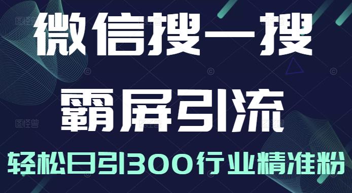 微信搜一搜霸屏引流课，打造被动精准引流系统，轻松日引300行业精准粉 - 阿伟资源库-阿伟资源库
