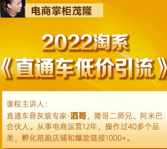 茂隆2022直通车低价引流玩法，教大家如何低投入高回报的直通车玩法 - 阿伟资源库-阿伟资源库