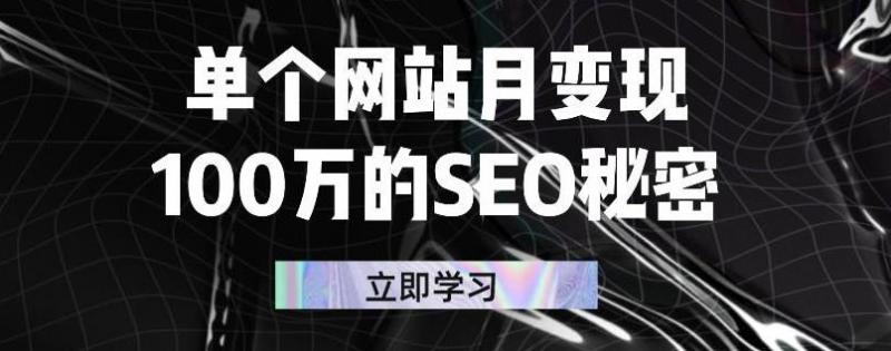 单个网站月变现100万的SEO秘密，百分百做出赚钱站点 - 阿伟资源库-阿伟资源库