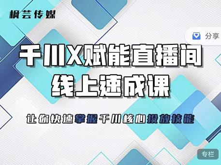 枫芸传媒-线上千川提升课，提升千川认知，提升千川投放效果 - 阿伟资源库-阿伟资源库