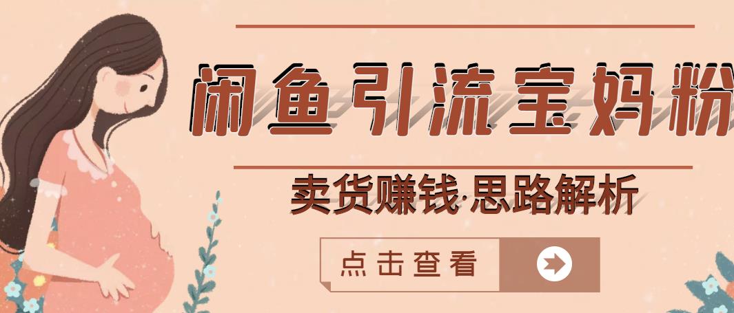 闲鱼引流宝妈粉+卖货赚钱一个月收益30000+（实操视频教程） - 阿伟资源库-阿伟资源库