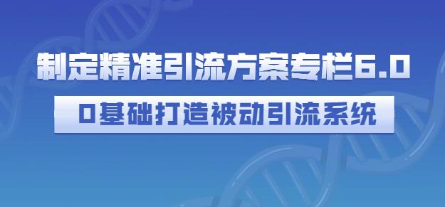制定精准引流方案专栏6.0，0基础打造被动引流系统 - 阿伟资源库-阿伟资源库