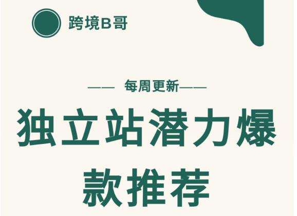 【跨境B哥】独立站潜力爆款选品推荐，测款出单率高达百分之80 - 阿伟资源库-阿伟资源库