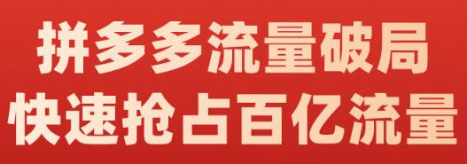 阿杰·拼多多流量破局:如何打黑标，爆款的思路，拼多多流量框架，快速抢占百亿流量 - 阿伟资源库-阿伟资源库
