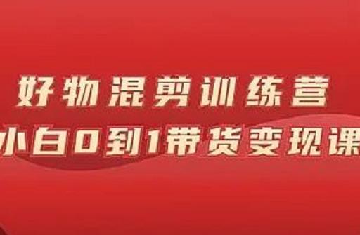 万三好物混剪训练营：小白0到1带货变现课 - 阿伟资源库-阿伟资源库