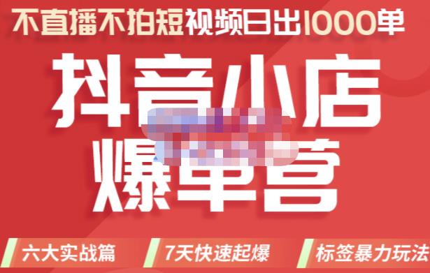 推易电商·2022年抖音小店爆单营，不直播、不拍短视频、日出1000单，暴力玩法 - 阿伟资源库-阿伟资源库