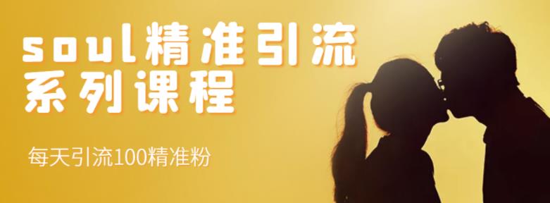 soul精准引流系列课程，每天引流100精准粉 - 阿伟资源库-阿伟资源库