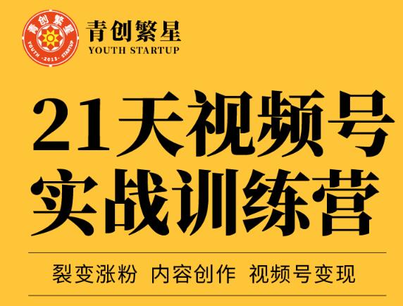 张萌21天视频号实战训练营，裂变涨粉、内容创作、视频号变现 价值298元 - 阿伟资源库-阿伟资源库