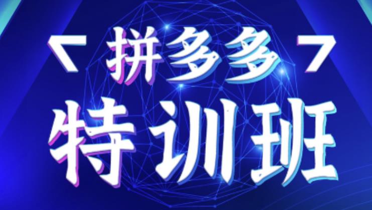 星雪教育·拼多多基础班+进阶班+突破班，用系统的学习模式快速改变现状价值3580元 - 阿伟资源库-阿伟资源库