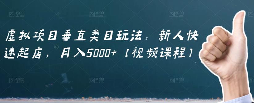 虚拟项目垂直类目玩法，新人快速起店，月入5000+【视频课程】 - 阿伟资源库-阿伟资源库