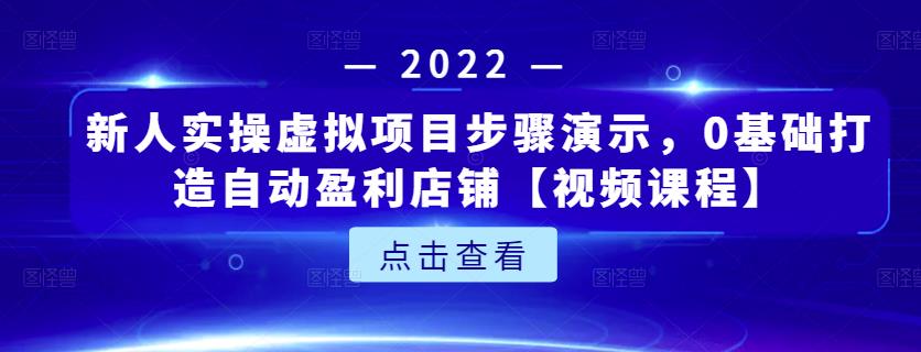 新人实操虚拟项目步骤演示，0基础打造自动盈利店铺【视频课程】 - 阿伟资源库-阿伟资源库