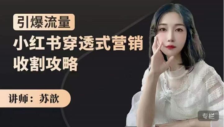 苏歆：小红书穿透式营销收割攻略，引爆流量，助你玩转小红书 - 阿伟资源库-阿伟资源库