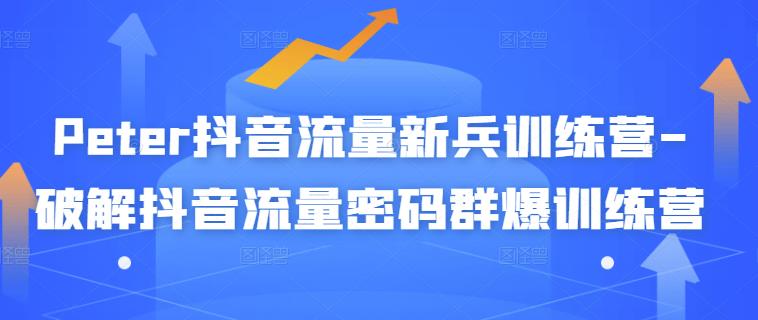 Peter抖音流量新兵训练营-破解抖音流量密码群爆训练营（新兵） - 阿伟资源库-阿伟资源库