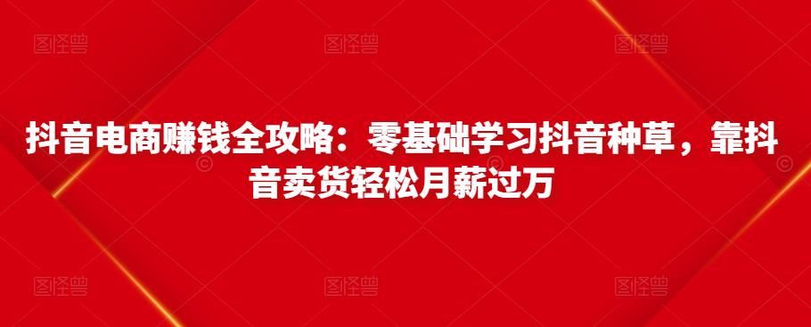 抖音电商赚钱全攻略：零基础学习抖音种草，靠抖音卖货轻松月薪过万 - 阿伟资源库-阿伟资源库