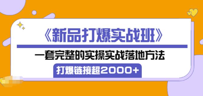 凌童《新品打爆实战班》,一套完整的实操实战落地方法，打爆链接超2000+（28节课) - 阿伟资源库-阿伟资源库