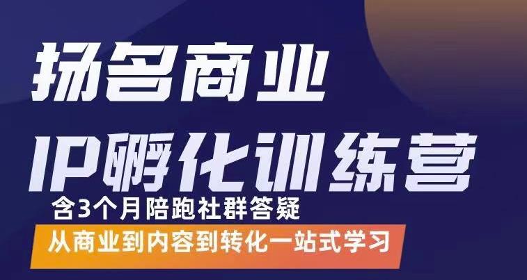 杨名商业IP孵化训练营，从商业到内容到转化一站式学 价值5980元 - 阿伟资源库-阿伟资源库