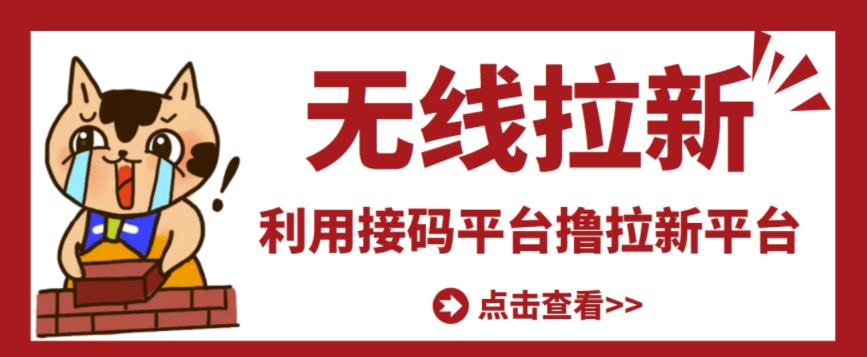 最新接码无限拉新项目，利用接码平台赚拉新平台差价，轻松日赚500+ - 阿伟资源库-阿伟资源库