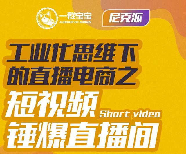 尼克派·工业化思维下的直播电商之短视频锤爆直播间，听话照做执行爆单 - 阿伟资源库-阿伟资源库