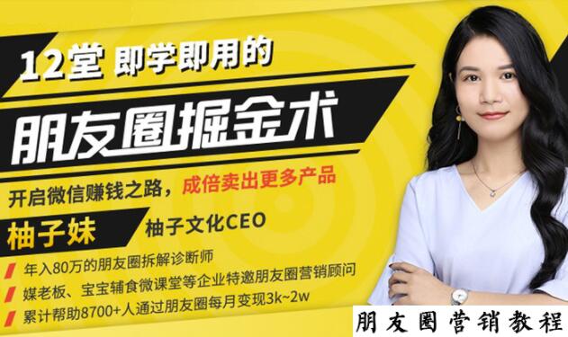 【营销必学】12堂学之即用的朋友圈掘金术：开启你的副业赚钱之路 - 阿伟资源库-阿伟资源库