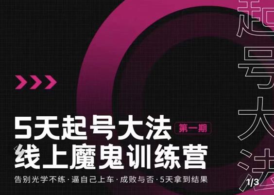 大播·五天起号魔鬼训练营，告别光学不练，逼自己上车，成败与否，5天拿到结果 - 阿伟资源库-阿伟资源库