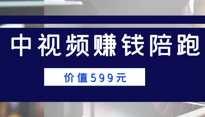 中视频赚钱陪跑，卖中视频账户赚钱收益陪跑项目（价值599元） - 阿伟资源库-阿伟资源库