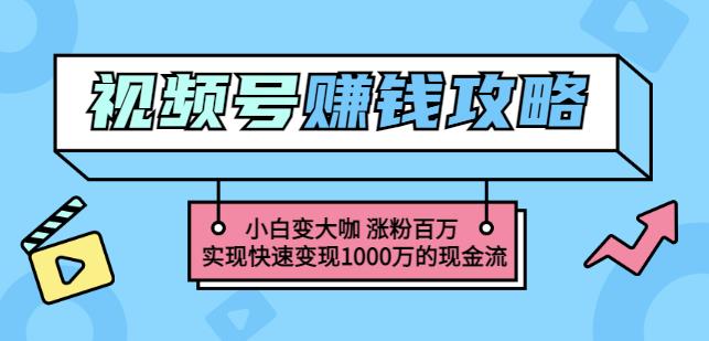玩转微信视频号赚钱：小白变大咖涨粉百万实现快速变现1000万的现金流 - 阿伟资源库-阿伟资源库